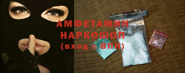 индика Рославль