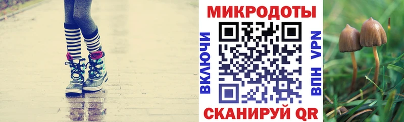 Псилоцибиновые грибы Psilocybine cubensis  дарк нет состав  Сясьстрой  MEGA как зайти 